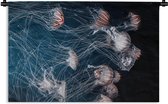Tapisserie - Tapisserie - Animaux aquatiques marines - Méduse - Water - 180x120 cm - Tapisserie