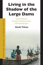 Living in the Shadow of the Large Dams