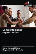 Comportamento organizzativo