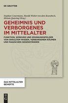 Das Mittelalter. Perspektiven mediävistischer Forschung. Beihefte15- Geheimnis und Verborgenes im Mittelalter