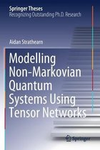 Modelling Non-Markovian Quantum Systems Using Tensor Networks