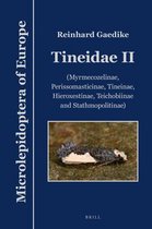 Tineidae II