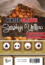 Plantuien Senshyu Yellow voor de Moestuin -  Winter Uien 500 Gram