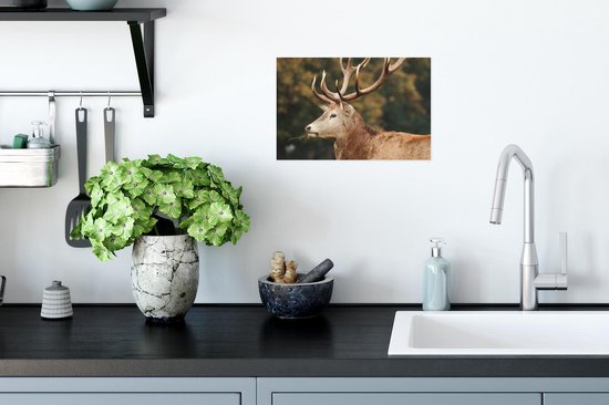 Affiche Cerf - Bois - Forêt - 30x20 cm