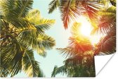 Poster Palmboom - Zon - Zomer - 30x20 cm