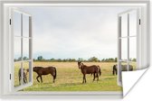 Poster Doorkijk - Paarden - Gras - 90x60 cm