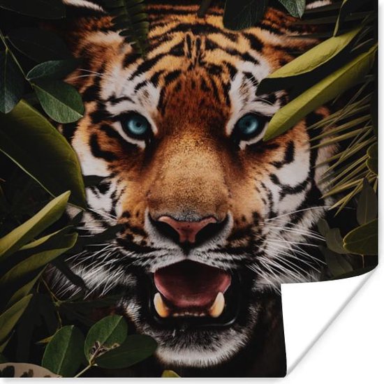 Poster Tijger - Jungle - Bladeren - 100x100 cm XXL