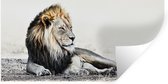 Muurstickers - Sticker Folie - Leeuwen - Kleuren - Illustratie - 160x80 cm - Plakfolie - Muurstickers Kinderkamer - Zelfklevend Behang - Zelfklevend behangpapier - Stickerfolie