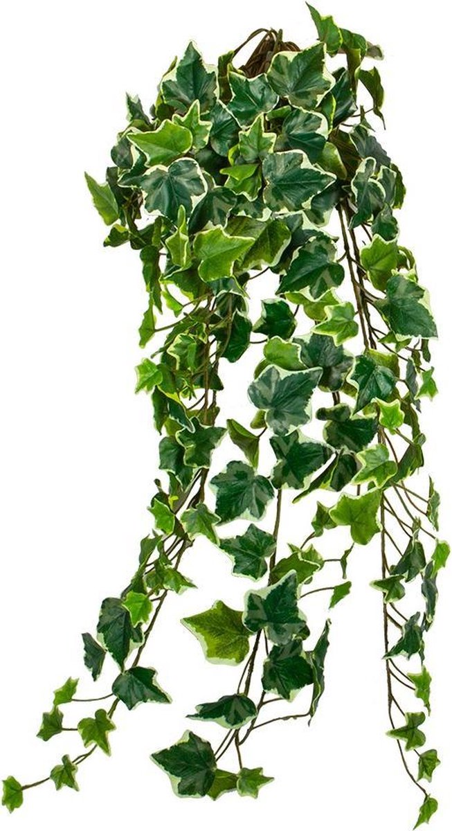 HTT Decorations - Kunstplant Hedera bont L80 cm kunstplanten