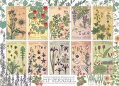 Casse-tête Cobble Hill Puzzle 1000 collages Botanicals