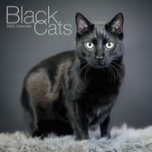 Black Cats Kalender 2022
