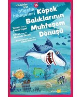 Köpek Balıklarının Mühteşem Dönüşü: Çocuklar için Bilgelik Hikayeleri - 13