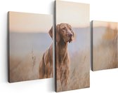 Artaza Canvas Schilderij Drieluik Hongaarse Vizsla Hond In Het Gras - 90x60 - Foto Op Canvas - Canvas Print