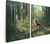 Artaza Canvas Schilderij Tweeluik Retriever Hond In Het Bos Met Zon - 120x80 - Foto Op Canvas - Canvas Print
