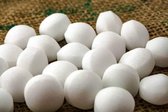 Mottenballen - Extra Sterk - Langdurige Bescherming - Yashika Mottenballen - 100 gr - ± 25 stuks