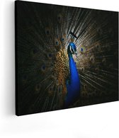 Artaza Canvas Schilderij Blauwe Pauw Met Grote Veren - 100x80 - Groot - Foto Op Canvas - Canvas Print