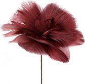 verenbloem op steel 60 cm roze