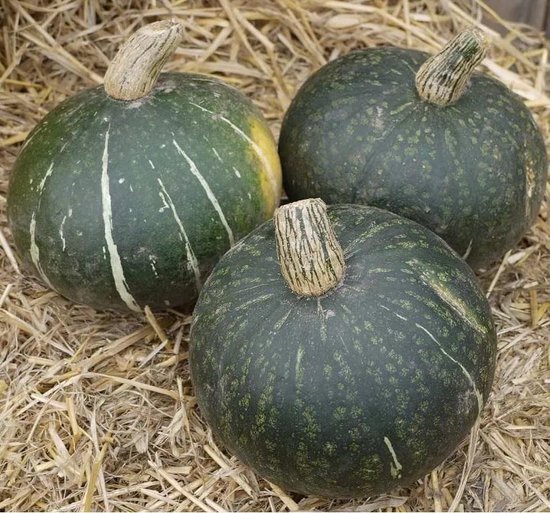 Pompoen Groene Hokkaido Groene vrucht met geeloranje vruchtvlees van uitstekende... bol