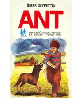 Ant