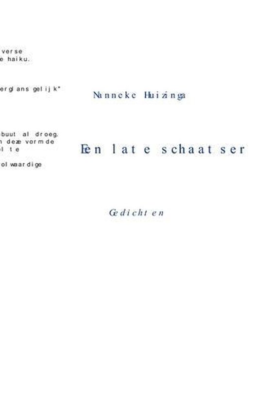 Cover van het boek 'Een late schaatser'