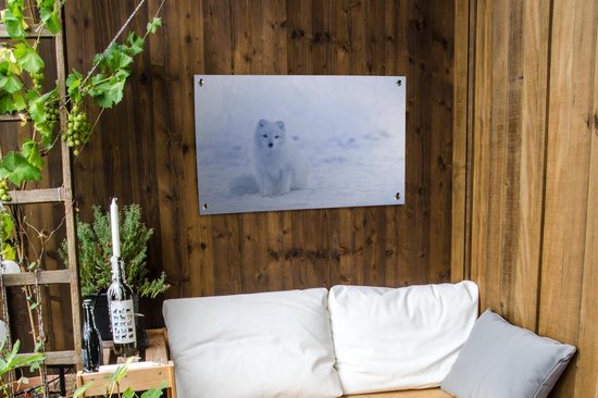Tuinposter 90x60 cm - Tuindecoratie Vos - Sneeuw - Sneeuwspoor - Poster voor in de tuin - Buiten decoratie - Schutting tuinschilderij - Tuindoek muurdecoratie - Wanddecoratie balkondoek