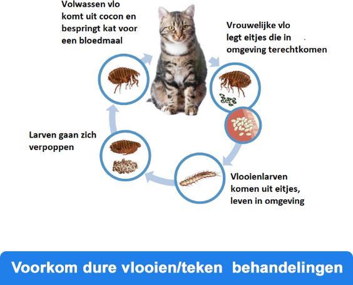 Goed opgeleid waarschijnlijkheid Theoretisch Anti-parasitaire druppels tegen vlooien, teken, mijten en luizen - Voor  katten vanaf... | bol.com
