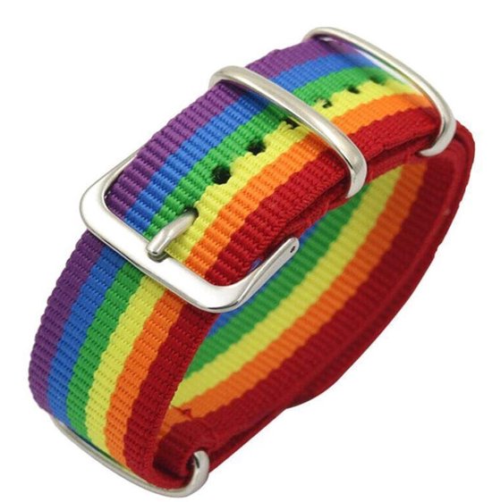 Pride Armband - Regenboog - Gay Pride LGBTQ - 24 cm - Rainbow