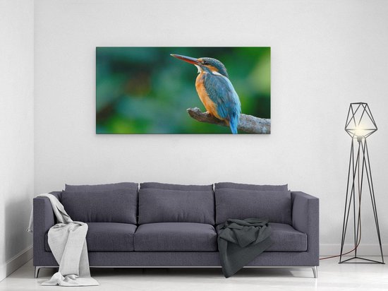 Artaza Toile Peinture Blauw Oranje Martin-pêcheur Sur Une Branche - 120x60 - Groot - Image Sur Toile - Impression Sur Toile
