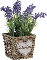 Decoratieve plant DKD Home Decor Metaal Polyethyleen Natuurlijk Lila (12 x 12 x 22 cm)