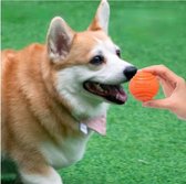 Huisdier Honden Speelgoed Bal - Hondenspeeltje - Hondenbal - 2 stuks