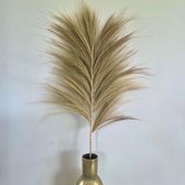 Natural Collections - Natuurlijke gras pluimen 'Wild Leaf'  - naturel - 118 cm hoog - 2 stuks