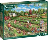 legpuzzel Strawberry Picking 68 x 50 karton 1000 stukjes