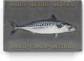 makreel op donkergrijze achtergrond  - niet van echt te onderscheiden schilderijtje op hout - makreel in 6 talen -  Laqueprint