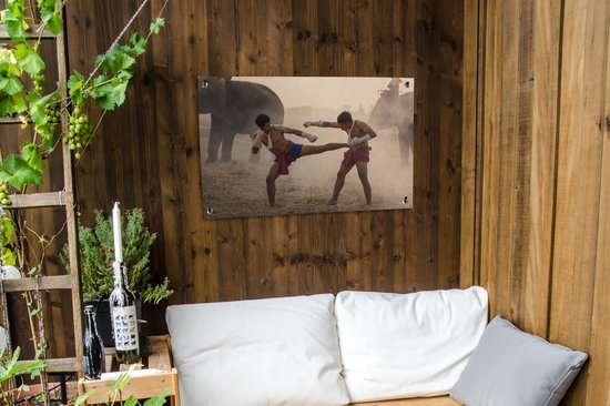 Posters de jardin Arts martiaux - Éléphants - Muay Thai - 90x60 cm - Toile de jardin