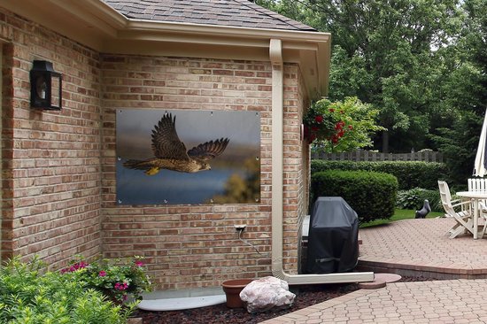 Affiche de jardin Faucon pèlerin - Vol - Oiseaux de proie - 120x80 cm - Jardin