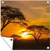 Tuinposters Afrika - Zon - Safari - 50x50 cm - Tuindoek - Buitenposter