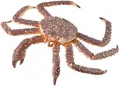 speelfiguur krab rood 12 x 4 cm