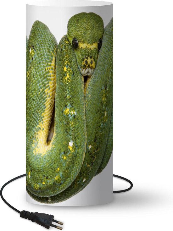 Lampe - Veilleuse - Lampe de table chambre - Serpent - Branche - Vert - 54  cm de haut