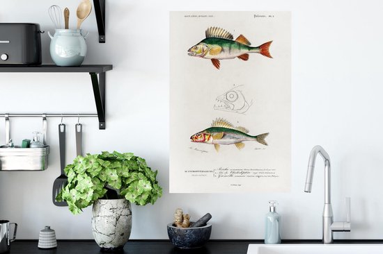 Stickers muraux - Poisson - Vintage - Réalisme - 40x60 cm - Feuille adhésive