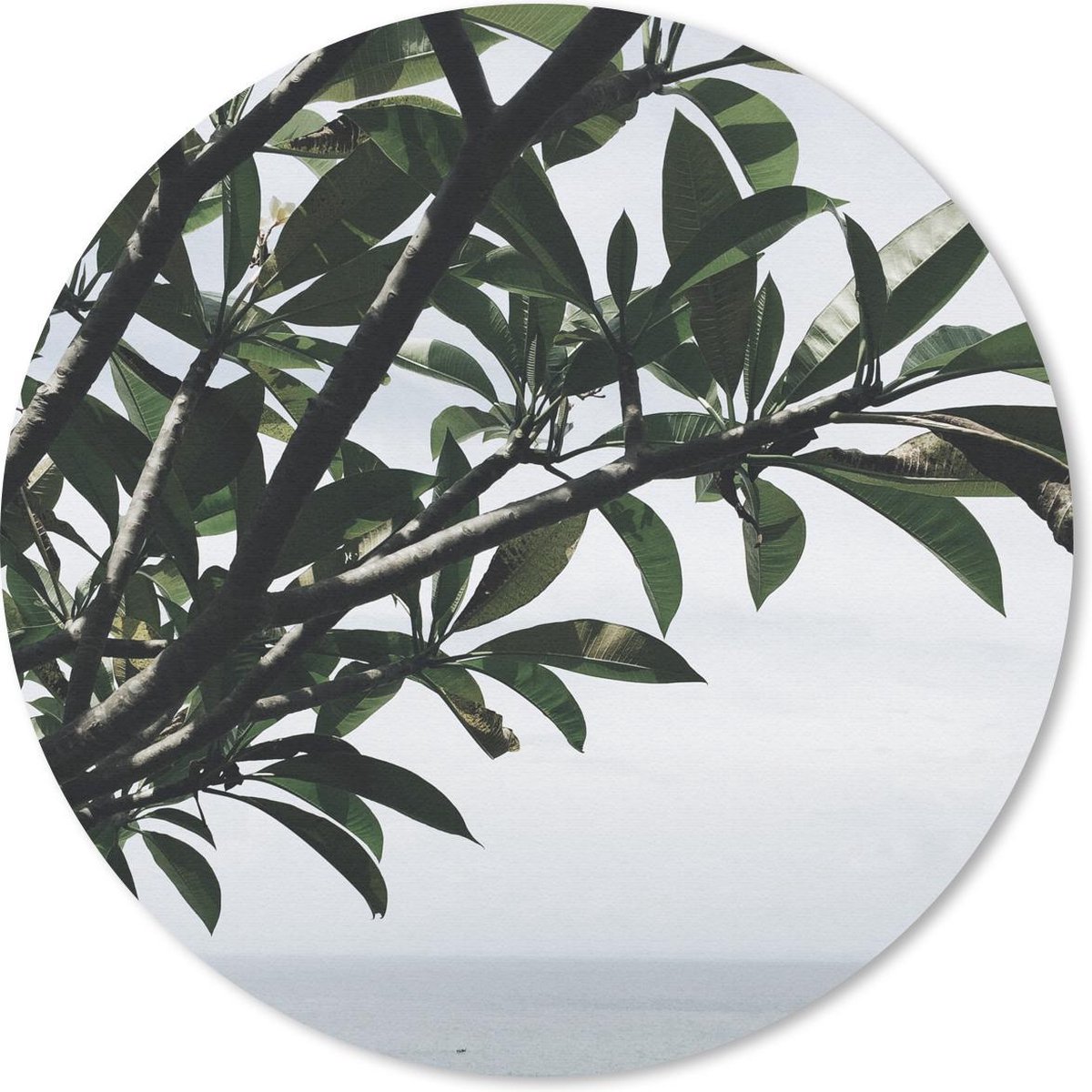 Muismat rond 40x40 cm - Mousepad Boom - Tak - Zee - Ronde muismatten