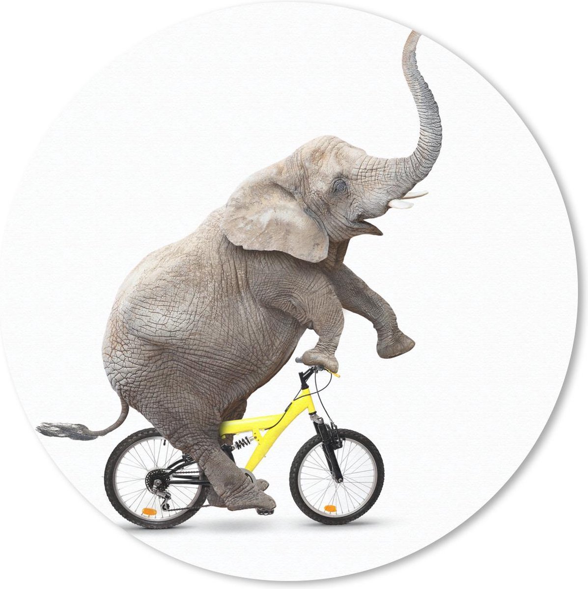 Muismat rond 50x50 cm - Mousepad Olifant - Fiets - Wit - Ronde muismatten