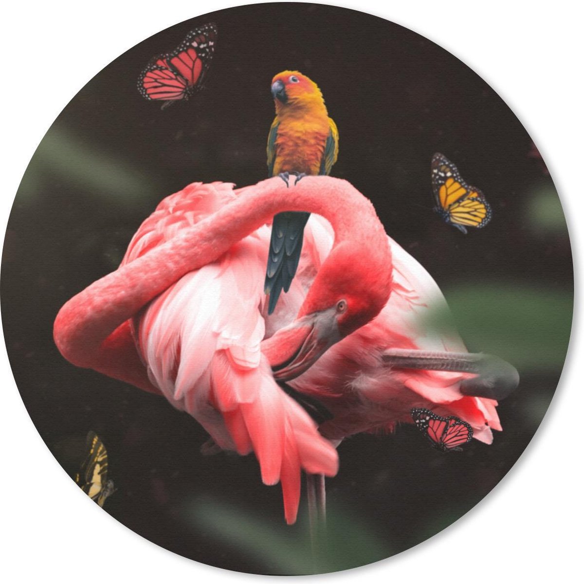 Muismat rond 40x40 cm - Mousepad Flamingo - Dieren - Natuur - Ronde muismatten
