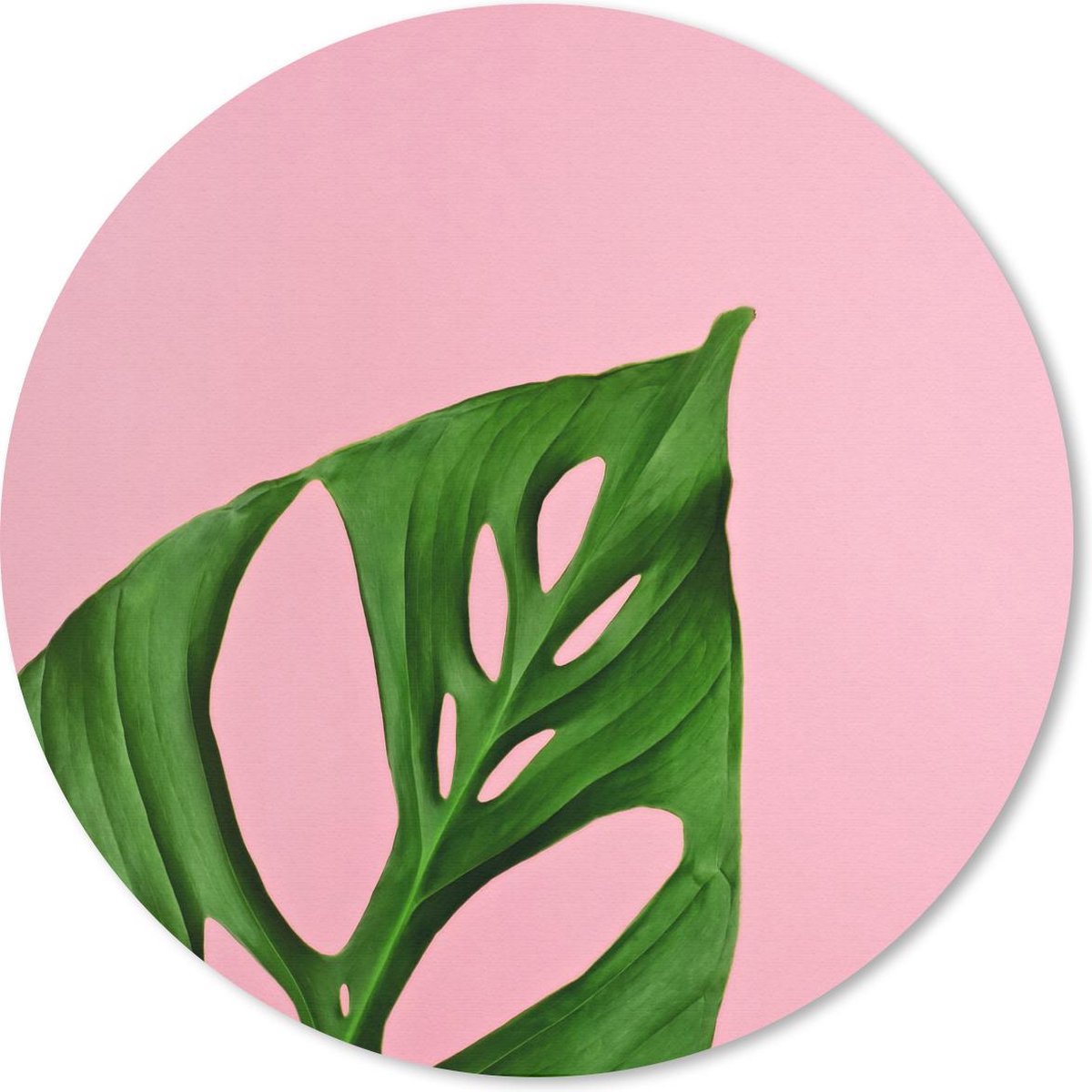 Muismat rond 50x50 cm - Mousepad Botanisch blad op een roze achtergrond - Ronde muismatten