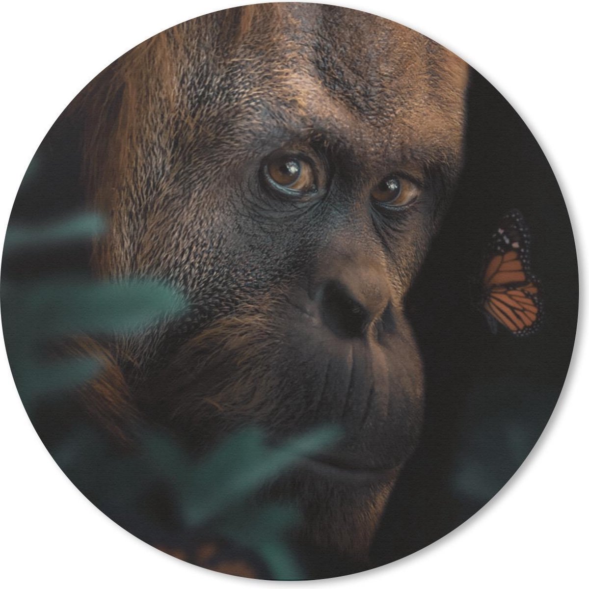 Muismat rond 50x50 cm - Mousepad Vlinder - Aap - Planten - Ronde muismatten