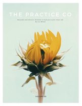 The Practice Co - Volume Three
