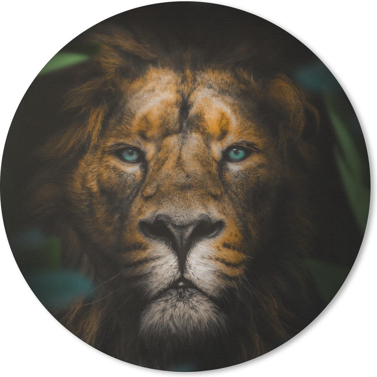 Muismat rond 40x40 cm - Mousepad Dieren - Leeuw - Wilde dieren - Ronde muismatten