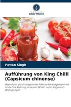 Auffuhrung von King Chilli (Capsicum chinense)