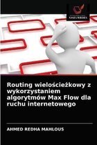 Routing wielościeżkowy z wykorzystaniem algorytmów Max Flow dla ruchu internetowego