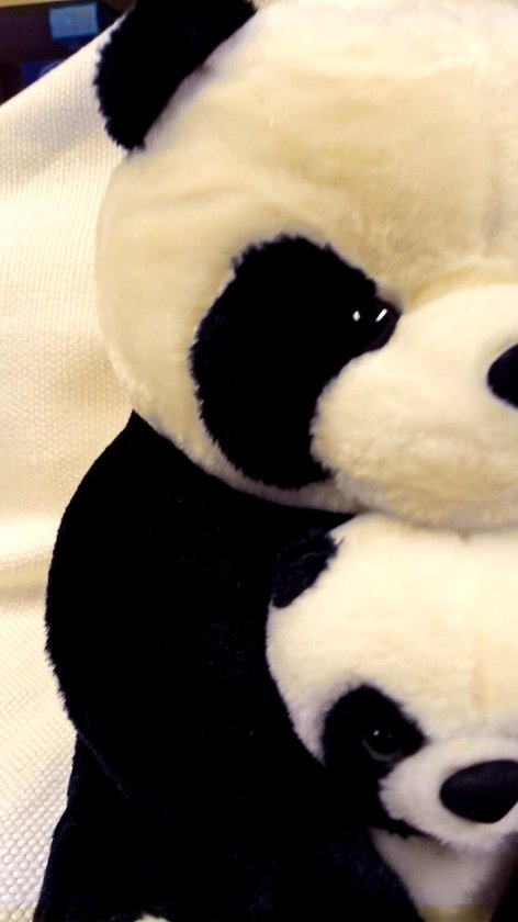 Leuke knuffel panda met baby 35 cm - superleuk en supermooi | bol.com