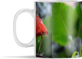 Mok - Rode ibis omringt door grote groene bladeren - 350 ml - Beker